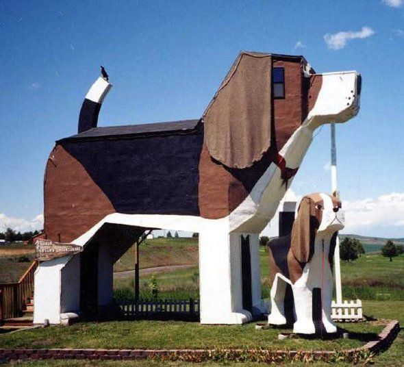 arquitectura_animal-perro